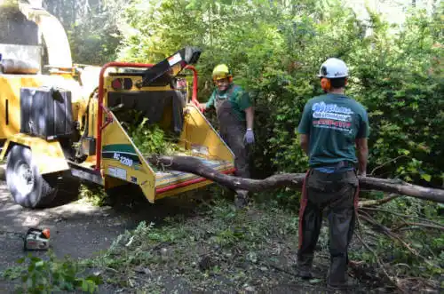 tree services Pinckneyville